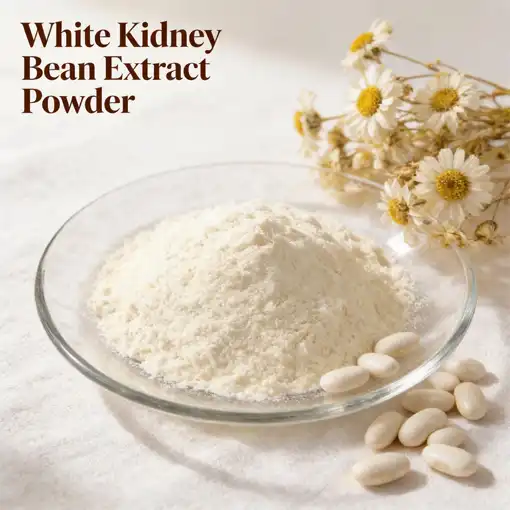 White Kidney Bean Extract Powder: Appetite Control & Satiety Science